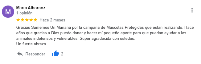 Reseña 2